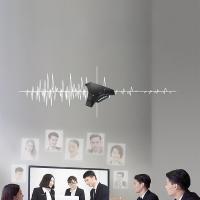 宏视道 HSD-MC810W 全向麦克风 适合60平米会议室  (单位：个 )