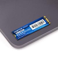 忆捷（EAGET）S300L M.2固态硬盘 128G  M.2接口、NGFF协议 22*80*3.5mm（单位：个）蓝色