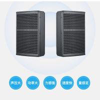 润普（Runpu） RP-HYX612 会议音箱12英寸全频（单位：支）