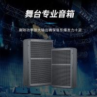 润普（Runpu） RP-HYX612 会议音箱12英寸全频（单位：支）