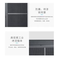 润普（Runpu） RP-HYX612 会议音箱12英寸全频（单位：支）