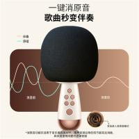 唱吧 G2升级版 小巨蛋麦克风 电池容量2600mA 白金色 (单位:个)