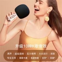 唱吧 G2升级版 小巨蛋麦克风 电池容量2600mA 白金色 (单位:个)