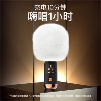 唱吧 G3 小巨蛋麦麦克风 2*2000mAh 白色 (单位:个)