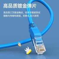 胜为（shengwei） LC-2020C 超五类高速网线 2米 （单位：条） 蓝色