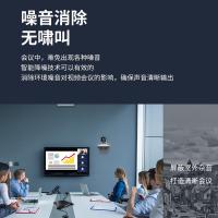 宏视道 HSD-MX810W-EX 麦克风 2.4G全向 无线USB免驱+一拖二扩展联 （单位:台）