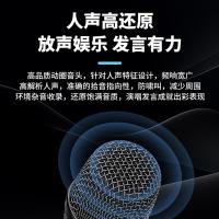 得胜（TAKSTAR） TS-K302 无线一拖二麦克风 1200mAh 黑色（单位：套）