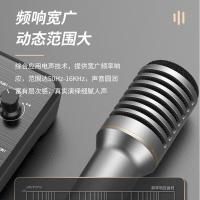 得胜（TAKSTAR） TA-68 专业动圈麦克风 心型指向 深灰色（单位：只）