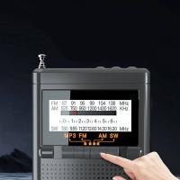 纽曼（Newmine） BT80 指针式收音机 103*67*31mm  (单位：台 )灰色