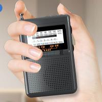 纽曼（Newmine） BT80 指针式收音机 103*67*31mm  (单位：台 )灰色
