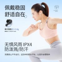 飞利浦（PHILIPS）TAT3559 真无线主动降噪蓝牙耳机 40g（单位：个）黑色
