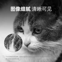 奔图(PANTUM)PD-300原装硒鼓  适用P3205 P3225 P3255粉盒P3405 P3425墨盒P3100 P3200 P3500打印机墨粉碳粉盒 3000页（单位：支）