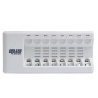 雷摄（LEISE） LS-828C 智能独立快速充电器 适用5号AA/7号AAA/1-8粒镍氢充电电池充电 八槽 （单位：个） 白 新老款随机发货