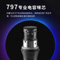 漫步者（EDIFIER） K3 户外K歌麦克风 心型 黑色（单位：个）
