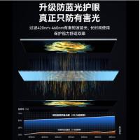 绿巨能（llano） LJN-FKP122 防窥膜 13.3英寸 16:10 (299mm*202mm) 亚克力 防蓝光挂式板 (单位：张) 透明