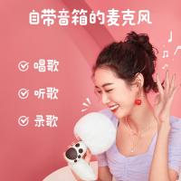 唱吧 G21 麦克风 无线 小巨蛋G21白色（单位：台）