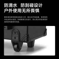 漫步者（EDIFIER）D3-8s 蓝牙拉杆音响(配无线麦克风) 317*251*492mm（单位:台）