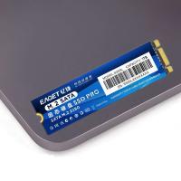 忆捷（EAGET）S300L 固态硬盘商用 1TB (单位:个) 蓝色