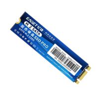 忆捷（EAGET）S300L 固态硬盘商用 256GB(单位:个) 蓝色