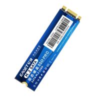 忆捷（EAGET）S300L 固态硬盘商用 256GB(单位:个) 蓝色