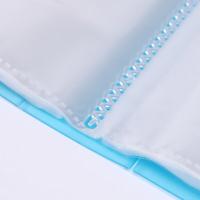 晨光(M&G) AWT90936 资料册透明20页 A4 （单位：个）颜色随机发货