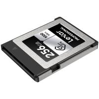 雷克沙（Lexar） LCXEXSL256G-RNENC 存储卡 256GB CFexpress™ Type B 传输1750MB/s 写入1300MB/s 29.60*38.50*3.80mm (单位：个) 黑银配色