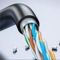 胜为（shengwei） LCO-5100 室外网线 100Mbps  (单位：箱 )黑色