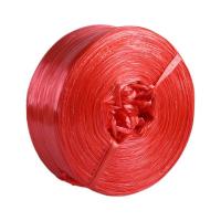 龙仕康 LSK2000 捆扎绳 2.5kg*2000m/卷 (单位: 卷)红色