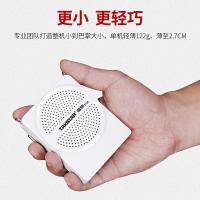 得胜（TAKSTAR） E126 扩音器 122g （单位:个） 黑色