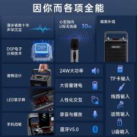 漫步者（EDIFIER） PP205无线版 手提便携式蓝牙音箱 音箱165*93*242mm+麦克风（单位：套）颜色随机发货
