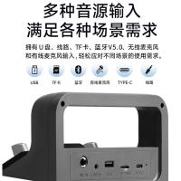 漫步者（EDIFIER） PP205无线版 手提便携式蓝牙音箱 音箱165*93*242mm+麦克风（单位：套）颜色随机发货