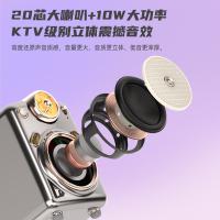 点音 Fairy-ok 小魔女蓝牙音箱麦克风套装 单麦 音箱2000mAh/麦克风350mAh(单位：套) 粉色