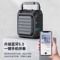 康佳（KONKA） KW6单麦版 广场舞音箱 1音箱+1麦克风/套（单位：套）黑色