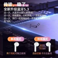 纽曼（Newmine）TWS-X5 蓝牙耳机真无线 半入式音乐耳麦 蓝牙5.3 (单位：个) 白色