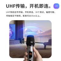 漫步者（EDIFIER） IU22 无线便携麦克风 一拖二 2个/套(单位：套)