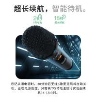 漫步者（EDIFIER） IU22 无线便携麦克风 一拖二 2个/套(单位：套)