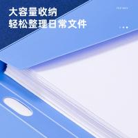 得力（deli） 5620ES 档案盒 20mm（单位：个）蓝色