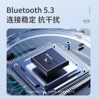 纽曼（Newmine） LY10 真无线蓝牙耳机 Bluetooth V5.3(单位：副) 黑色