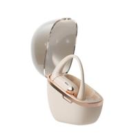 新科（Shinco） GT18 开放式真无线蓝牙耳机   35*58*67mm （单位：个）米黄色