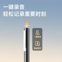 纽曼（Newmine）RV16智能Ai录音笔26g（单位：个）