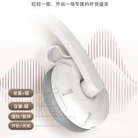 飞利浦（PHILIPS） 金属小头带头戴式蓝牙耳机 可伸缩 TAH2000 166*186*60mm (单位:个) 白色