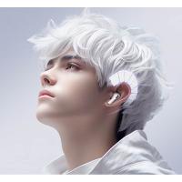 纽曼（Newmine） LY19 无线蓝牙耳机 约6.9g (单位: 个)白色