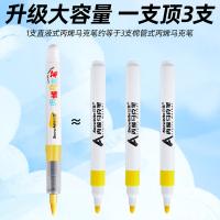 白雪（snowhite） DM101 直液式丙烯马克笔 12支/筒(单位：筒) 混色