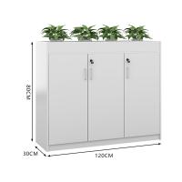 臻远 ZY5062246 铁皮文件柜二门矮柜 120*30*80cm（单位：台）白色