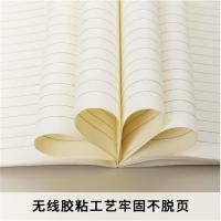 晨光（M&G）APYJQ550 软抄本 A5 10本/包 (单位:包) 混色