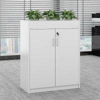 臻远 ZY5062245 铁皮文件柜 80*30*120cm 白色 两门矮柜 (单位:台)