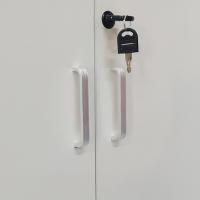 臻远 ZY5062238 文件柜 80*30*80cm 灰白套色 二门矮柜 (单位:台)