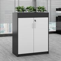 臻远 ZY5062238 文件柜 80*30*80cm 灰白套色 二门矮柜 (单位:台)