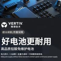 维谛（VERTIV） D12V100A  铅酸蓄电池 165*125*170mm （单位:台）