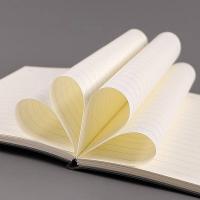 晨光（M&G） PB5842 软皮本 B5  80张160页 (单位：本） 黑色